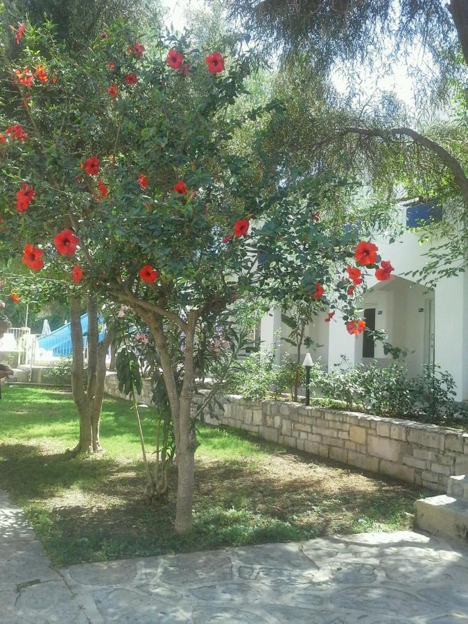 בודרום Tenda Hotel מראה חיצוני תמונה